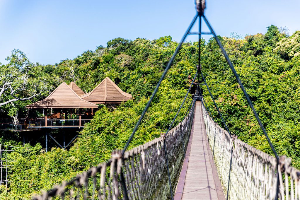 亚龙湾森林公园1