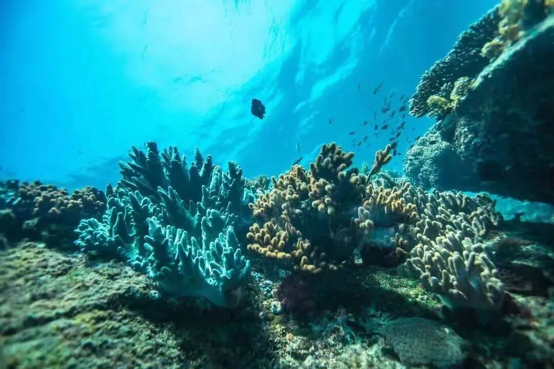 微信图片_2025-12-13_121336_384