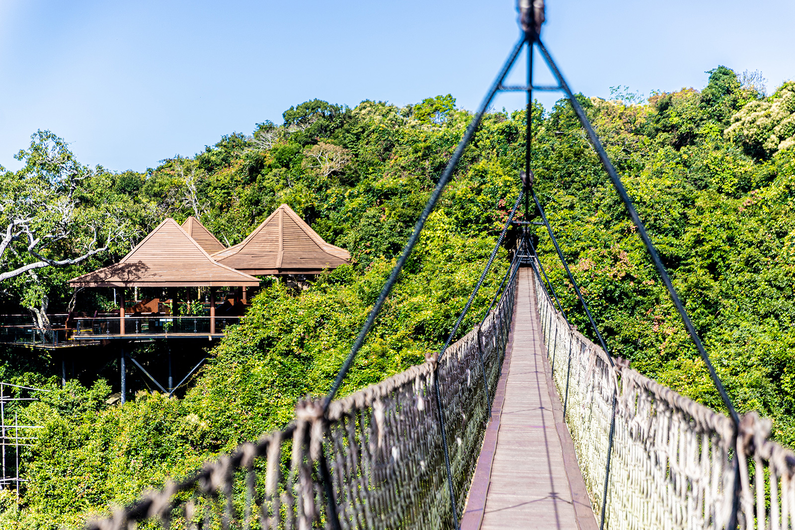 亚龙湾森林公园1