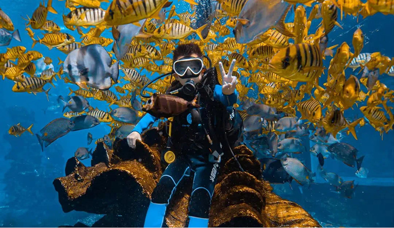 20250731103742_66341