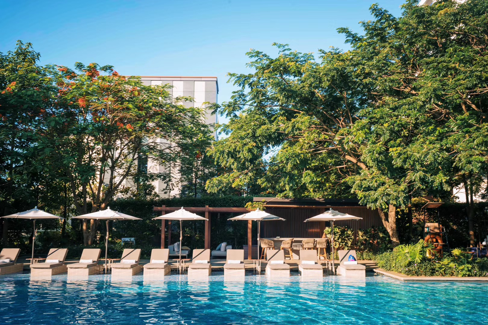 微信图片_202008071728248