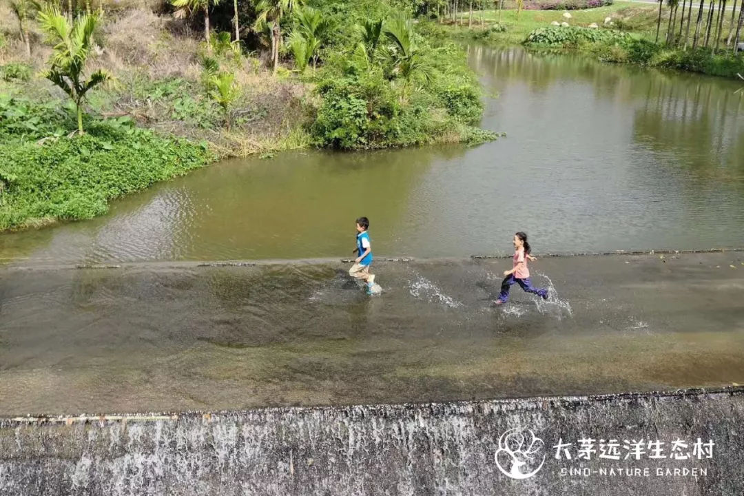 大茅远洋生态村
