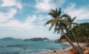 e4bf09e1-e3a1-4978-86fc-bf709b499b3c