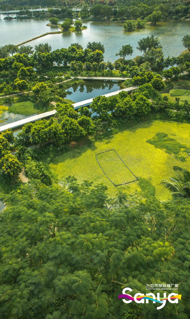 东岸湿地公园湖0