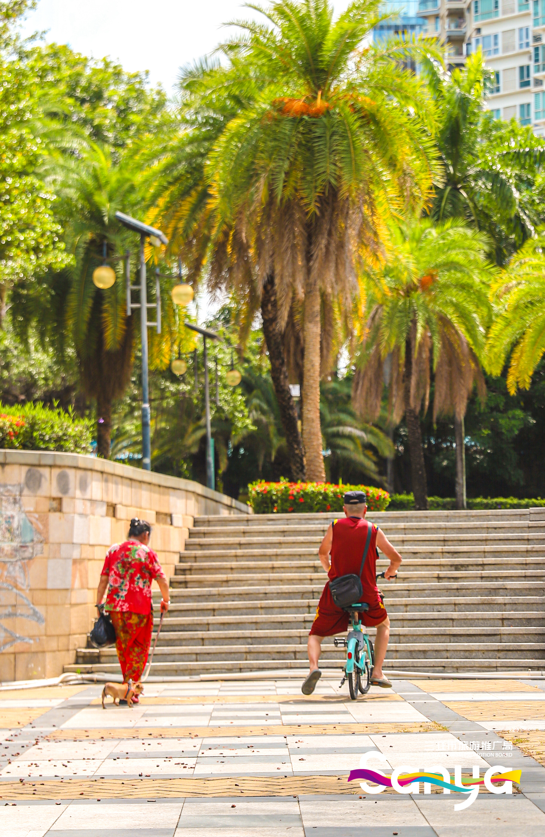 金鸡岭桥头公园0