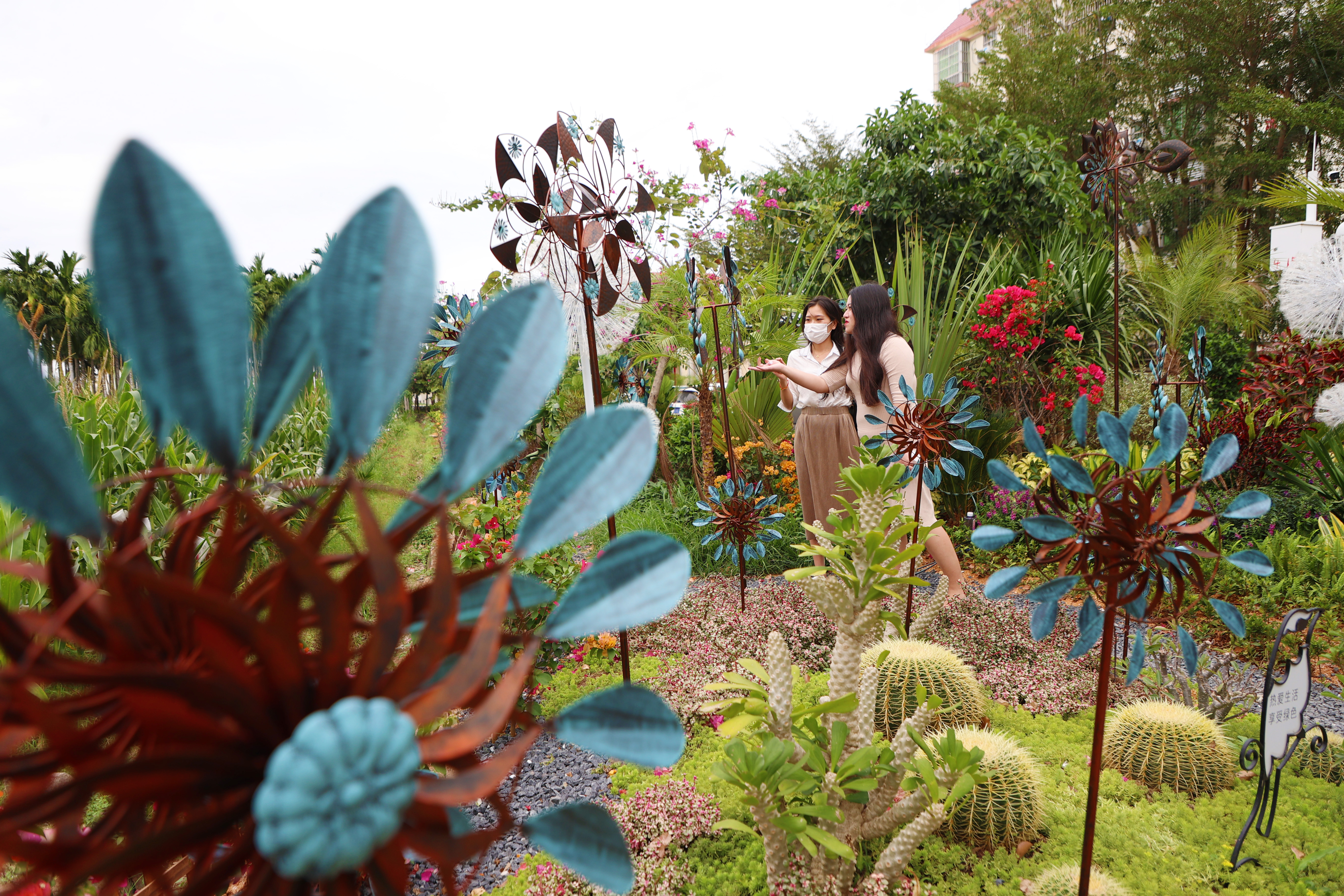 89660_崖州区梅联村美丽乡村“再升级”引进_2(1)