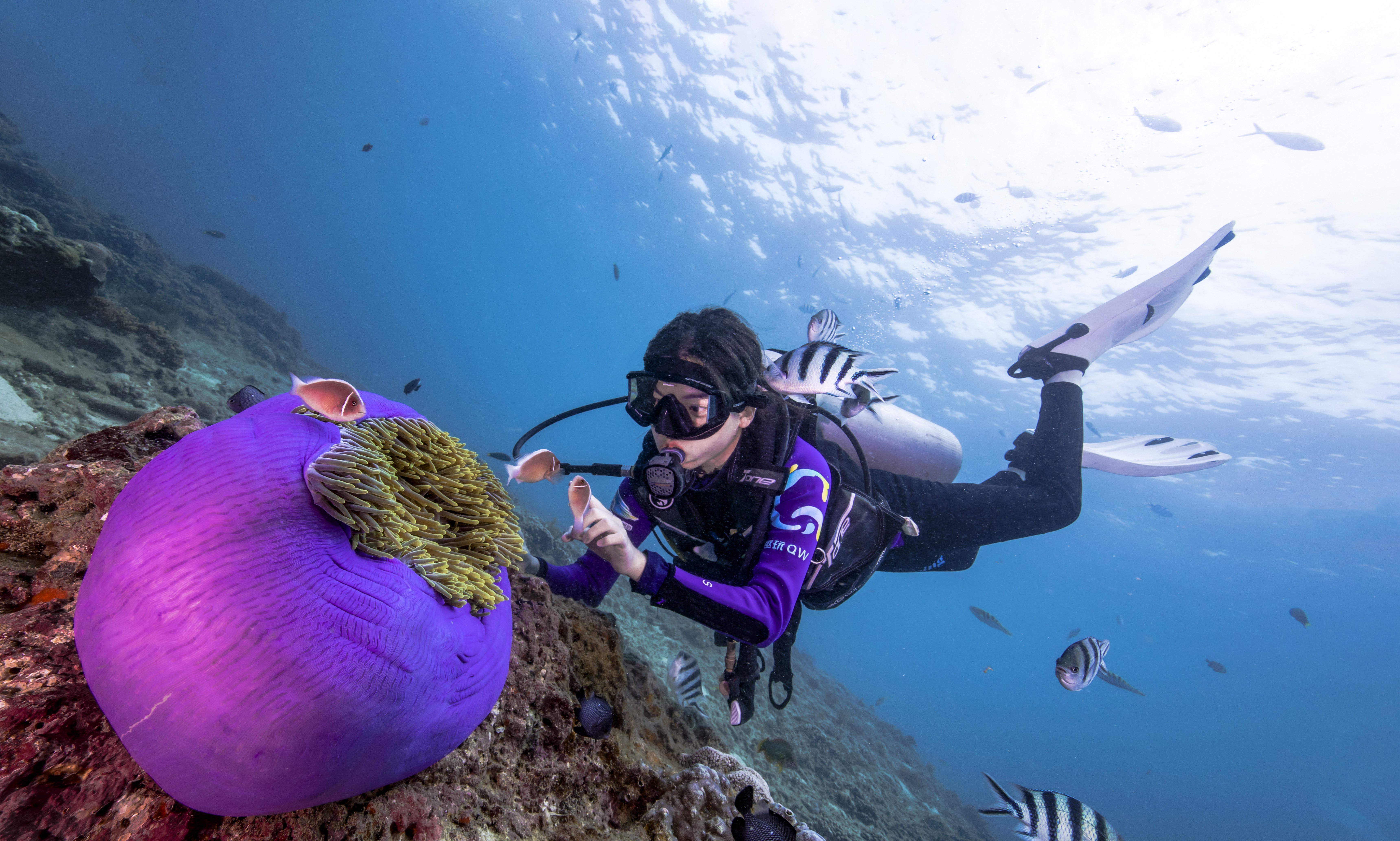 89152729ac3694ebe0d180fcd595409