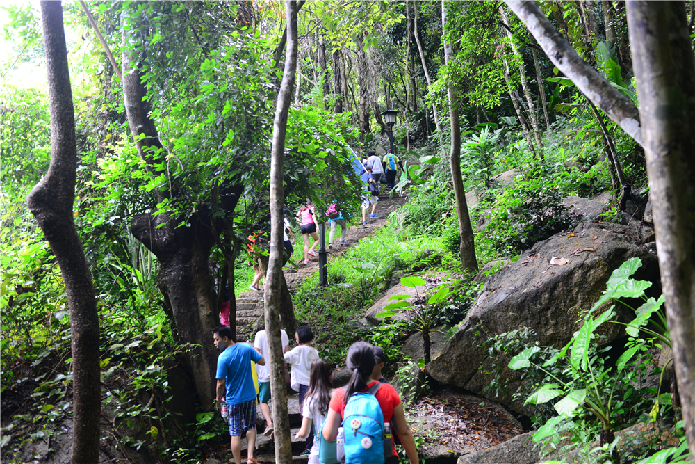 亚龙湾热带天堂森林公园