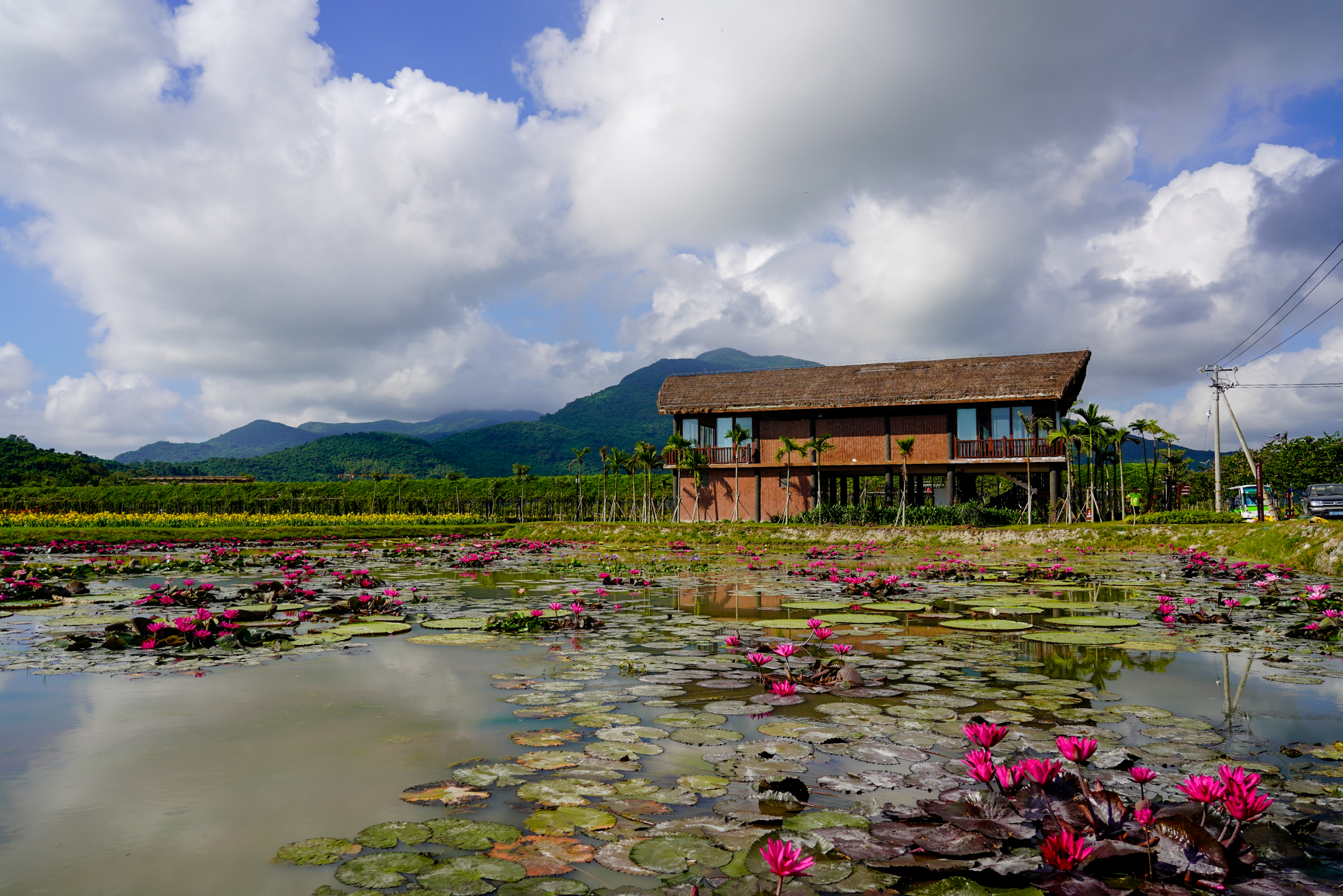 微信图片_20210527103557